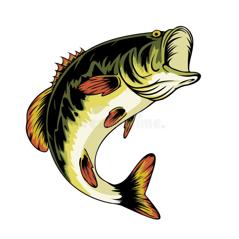 Bass Fish Drawing Stock Photos - Free & Royalty-Free Stock Photos from  Dreamstime