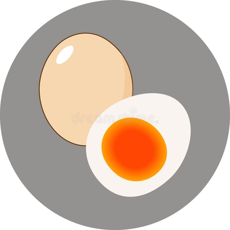 1 egg and who boiled half vector illustration