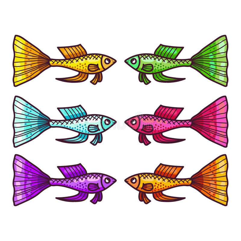 Cartoon Guppy Stock Illustrations – 495 Cartoon Guppy Stock Illustrations, Vectors & Clipart - Dreamstime Cartoon Guppy Stock Illustrations – 495 Cartoon Guppy Stock Illustrations, Vectors & Clipart - Dreamstime