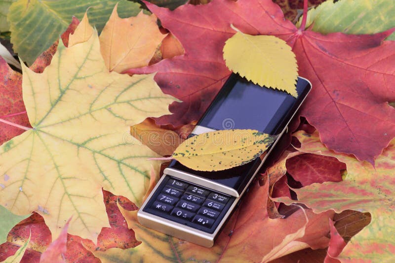 Mobile phone on autumn foliage