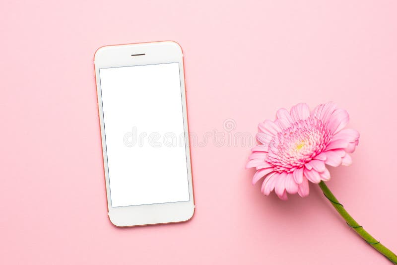 Mobile Phone and Pink Flower on a Pastel Background Stock Photo Image of pattern, earring