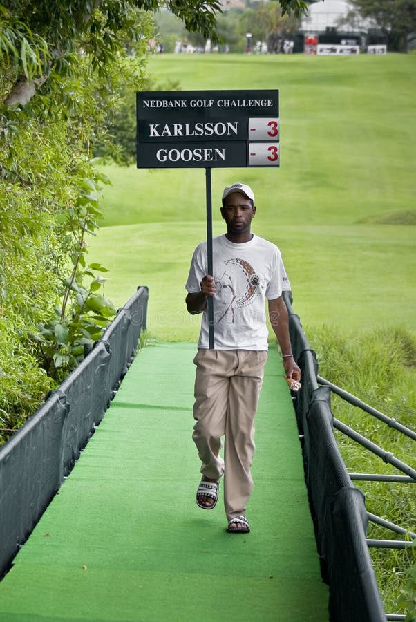 Golf Course with Billboard/Scoreboard Stock Vector Illustration of