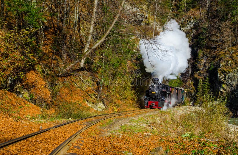 Mocanita steam train from Valea Vaserului, near Viseu de Sus village, Maramures, Romania