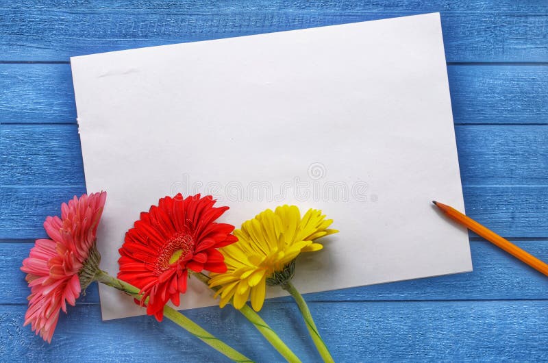 Mock up artwork for celebration, drawing and text on a blue wooden background with three colored flowers gerberas.Flat royalty free stock image Mock up artwork for celebration, drawing and text on a blue wooden background with three colored flowers gerberas.Flat royalty free stock image