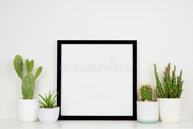 Mock up black square frame with potted cacti and succulent plants on a shelf against a white wall
