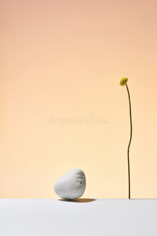 Mockup, abstract composition with primitive objects