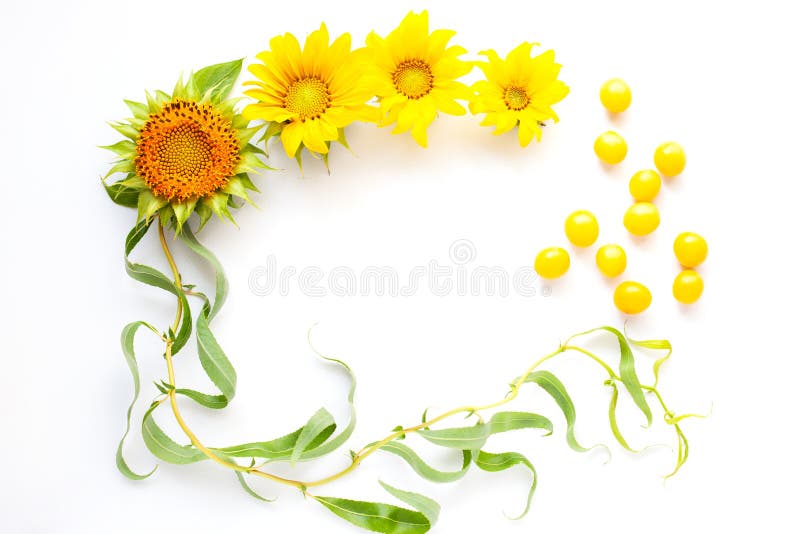 Mockup frame of twigs, cherry plum and sunflower on a white background