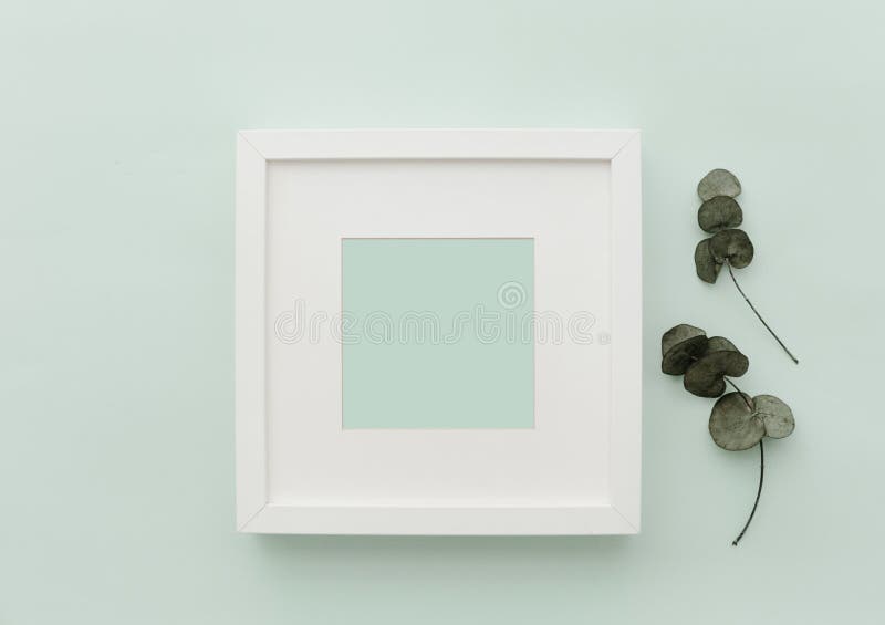 Mockup white frame. Neutral Minimalist Flat Lay Scene with Cactus.