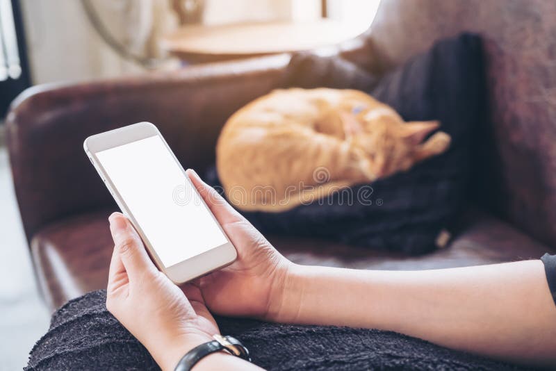 Mockup wizerunek kobiety ` s ręka trzyma białego telefon komórkowego z pustym ekranem i sypialnym brown kotem ja fotografia royalty free