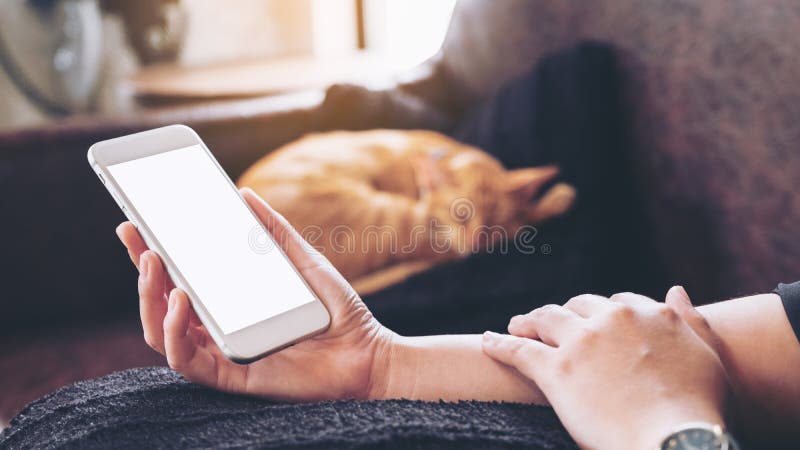 Mockup wizerunek kobiety ` s ręka trzyma białego telefon komórkowego z pustym ekranem i sypialnym brown kotem ja obrazy stock