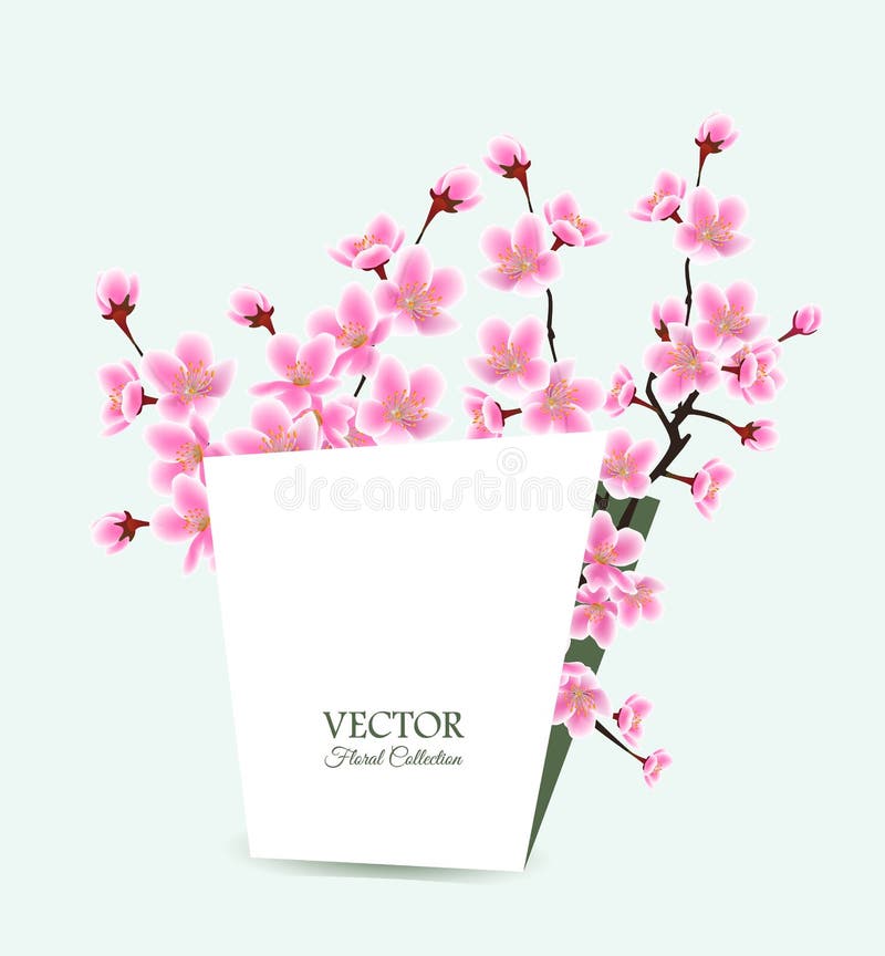 Modele De Carte Sakura Tree Invitation A Un Mariage Ou A Une Carte De Voeux Fleuris Au Printemps Illustration De Vecteur Illustration Du Japan Illustration
