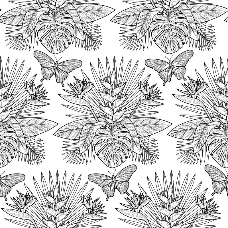 Feuilles Et Usines Tropicales Isolat De Photos De Dessin De Main De Vecteur  Illustration de Vecteur - Illustration du floral, frais: 100835254