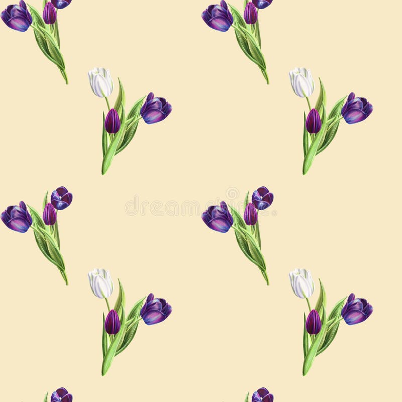 Belle Pivoine Blanche Et Cadre Blanc De Tulipes Bouquet Des