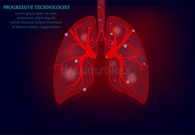 Mod?le sain de m?decine des poumons 3d bas poly Technologies progressives Les poumons humains ont des veines et de divers nerfs T illustration de vecteur Mod?le sain de m?decine des poumons 3d bas poly Technologies progressives Les poumons humains ont des veines et de divers nerfs T illustration de vecteur