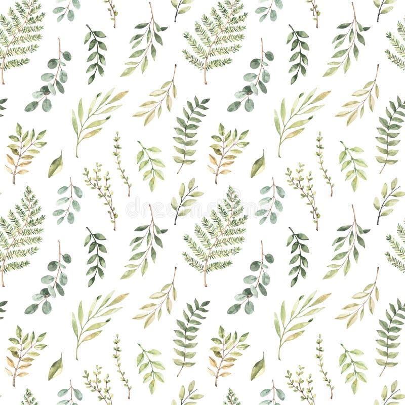 Mod? le sans couture d'aquarelle de ressort Fond botanique avec l'eucalyptus, les branches, la foug? re et les feuilles Illustratio illustration stock