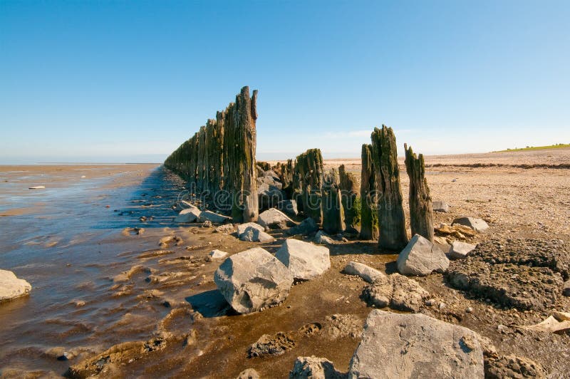 Portadores En El Mercado Del Queso De Alkmaar Imagen de archivo