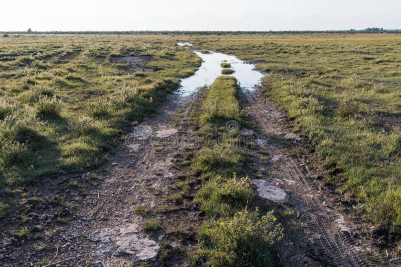 Modderige landweg stock afbeeldingen