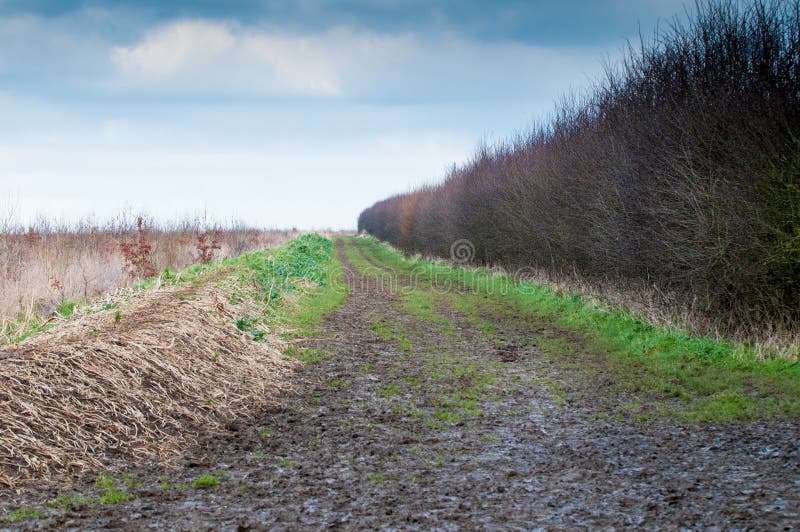 Modderige landweg stock fotografie