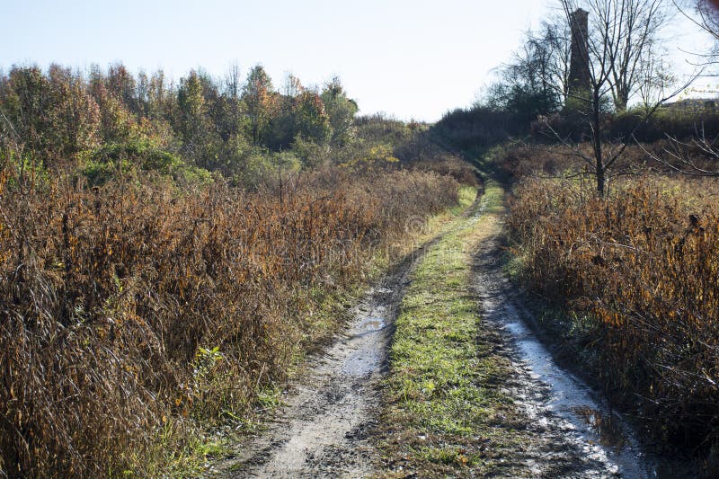 Modderweg stock afbeeldingen