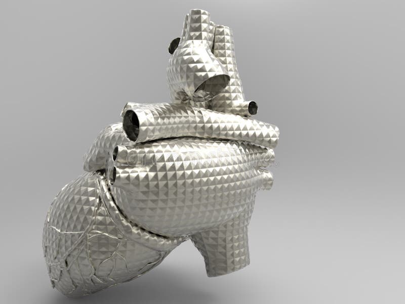 Model of Artificial Human Heart Stock Illustration Illustration of