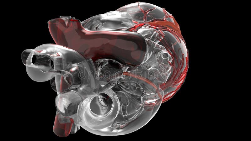 Model Of Artificial Human Heart Stock Illustration Illustration Of