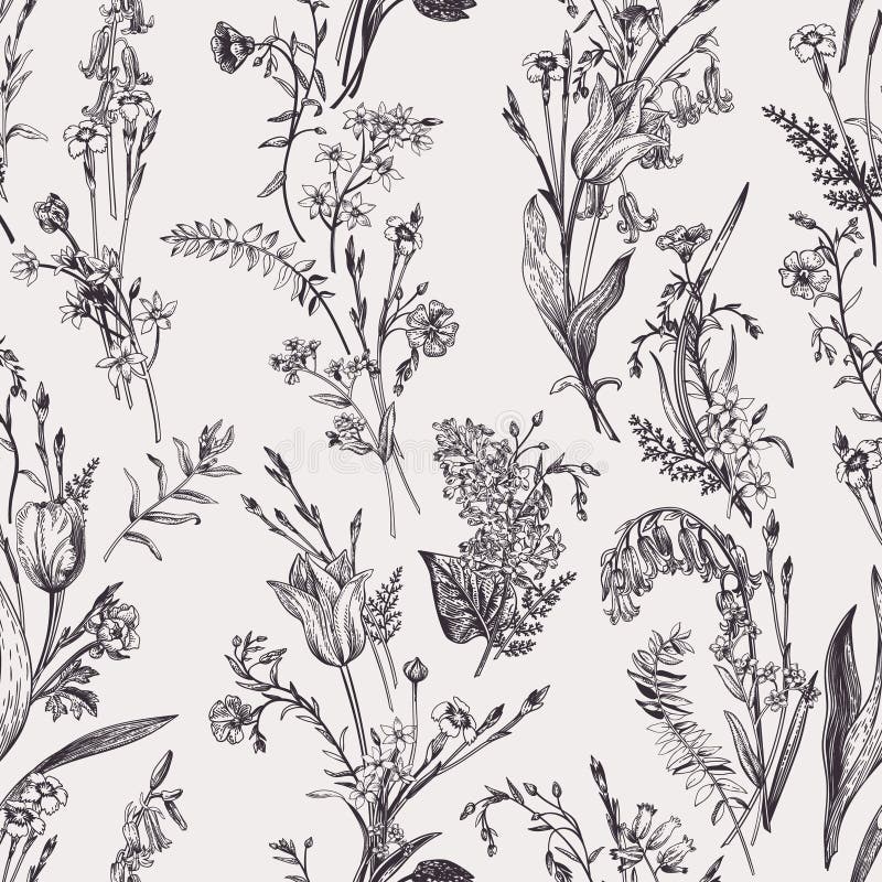 Model botanic fără sudură. alb-negru royalty free illustration