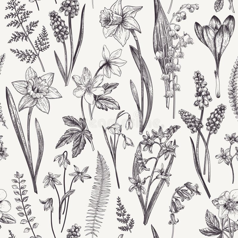 Model floral fără cusur. stock illustration