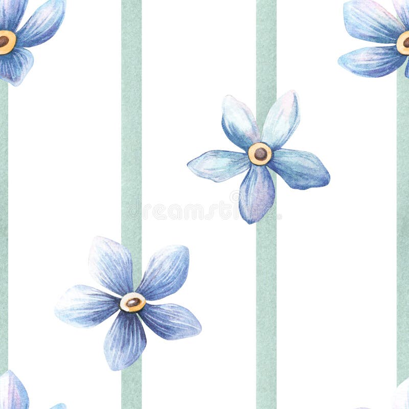 Model floral fără sudură cu dungi verzi de acuarelă și flori de uitare albastru deschis Textura pastelată de acuarelă botanică stock images