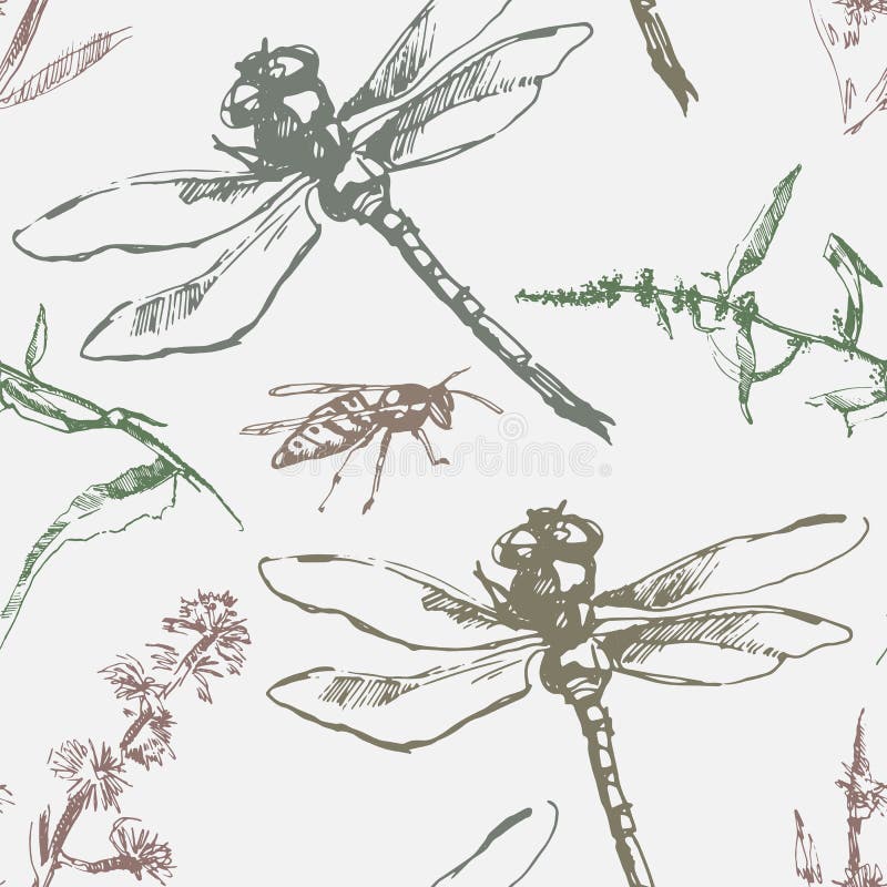 Model impecabil, cu viespi de libelulă și plante. vector illustration
