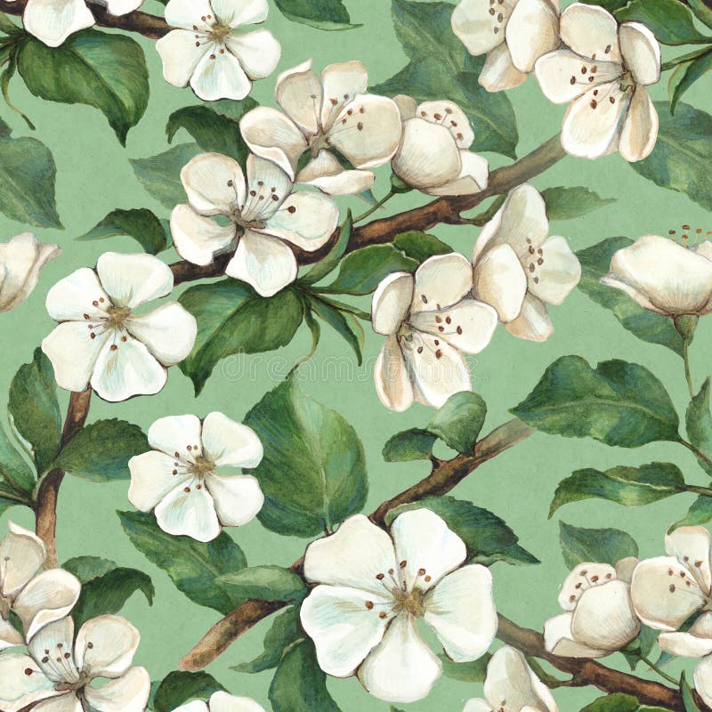Modell med vattenfärgäppleblommor royaltyfri illustrationer