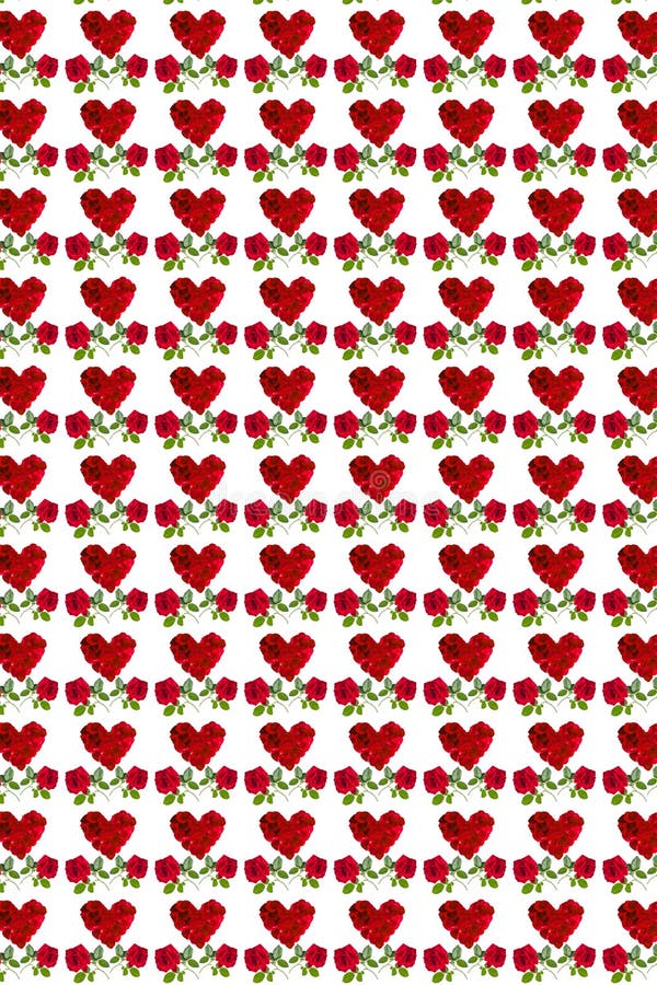 Modelli i petali rosa e la rosa rossa del bello cuore rosso fotografia stock libera da diritti