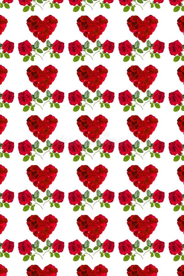 Modelli i petali rosa e la rosa rossa del bello cuore rosso fotografie stock