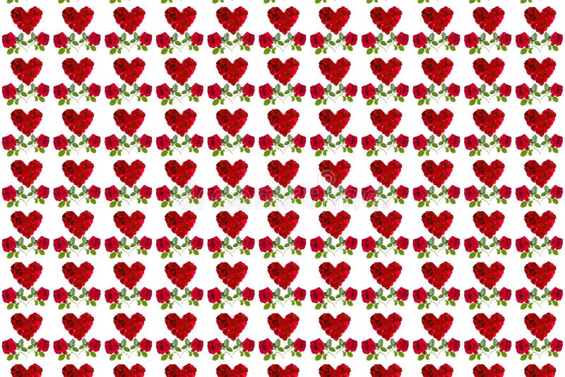Modelli i petali rosa e la rosa rossa del bello cuore rosso immagine stock