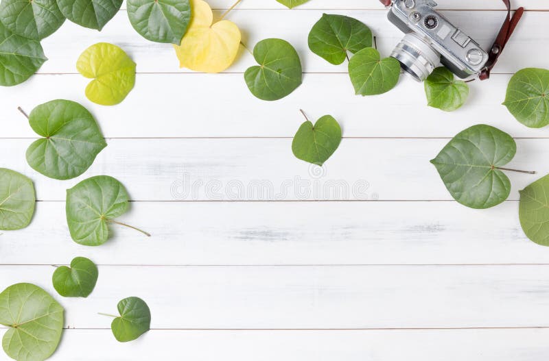 Modelli la macchina fotografica verde dell'annata e della foglia a forma di cuore immagini stock libere da diritti Modelli la macchina fotografica verde dell'annata e della foglia a forma di cuore immagini stock libere da diritti