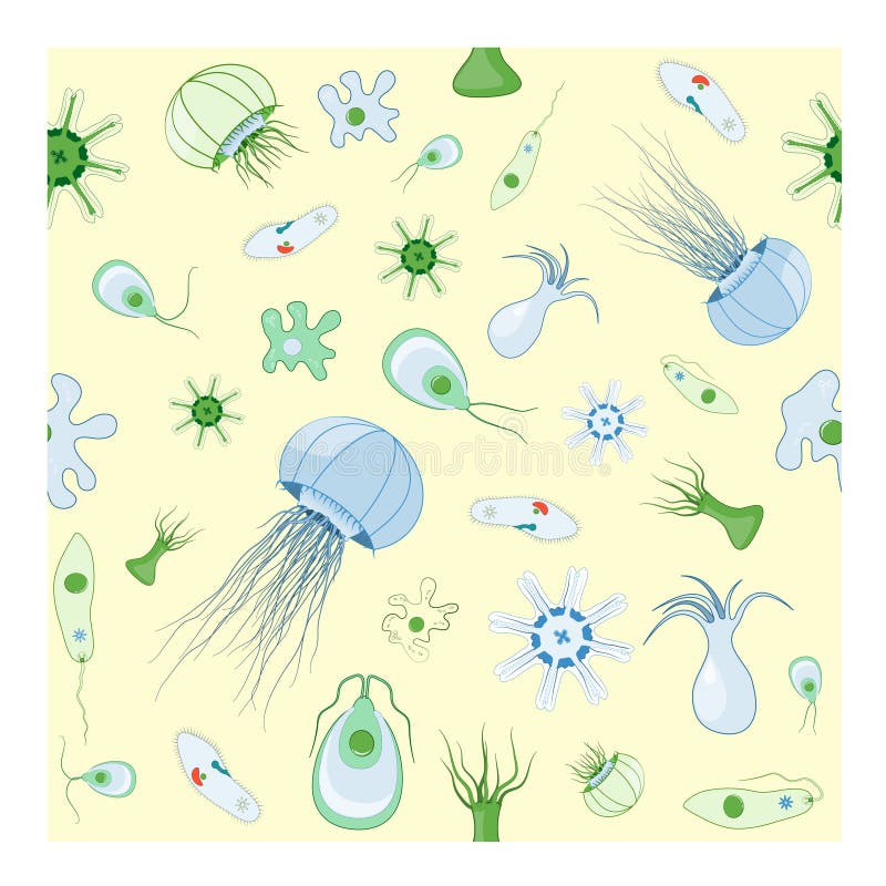 Modelli senza cuciture con le meduse, l'ameba, il paramecio ed altri animali che vivono in bacini idrici illustrazione vettoriale Modelli senza cuciture con le meduse, l'ameba, il paramecio ed altri animali che vivono in bacini idrici illustrazione vettoriale