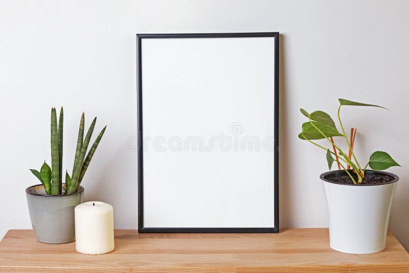 Modello in bianco della struttura nello scaffale di legno con le piante verdi fotografia stock Modello in bianco della struttura nello scaffale di legno con le piante verdi fotografia stock