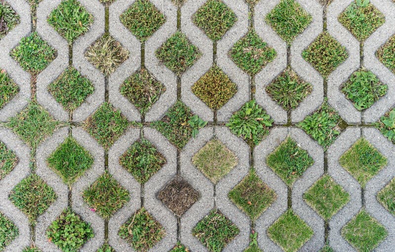 Modello con le pietre per lastricati e le piante fotografia stock libera da diritti Modello con le pietre per lastricati e le piante fotografia stock libera da diritti