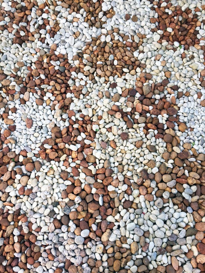 Modello dei ciottoli lisci o delle pietre marroni, neri, grigi, bianchi per la decorazione di uso e l'abbellimento del giardino immagini stock Modello dei ciottoli lisci o delle pietre marroni, neri, grigi, bianchi per la decorazione di uso e l'abbellimento del giardino immagini stock