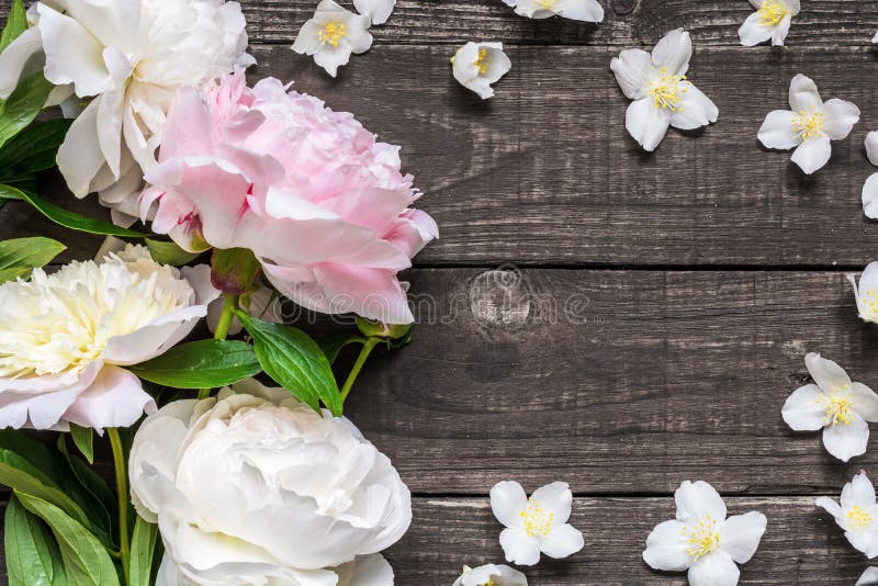Modello della cartolina d'auguri dell'invito di nozze o di anniversario decorato con le peonie ed i fiori rosa e cremosi del gels fotografia stock Modello della cartolina d'auguri dell'invito di nozze o di anniversario decorato con le peonie ed i fiori rosa e cremosi del gels fotografia stock