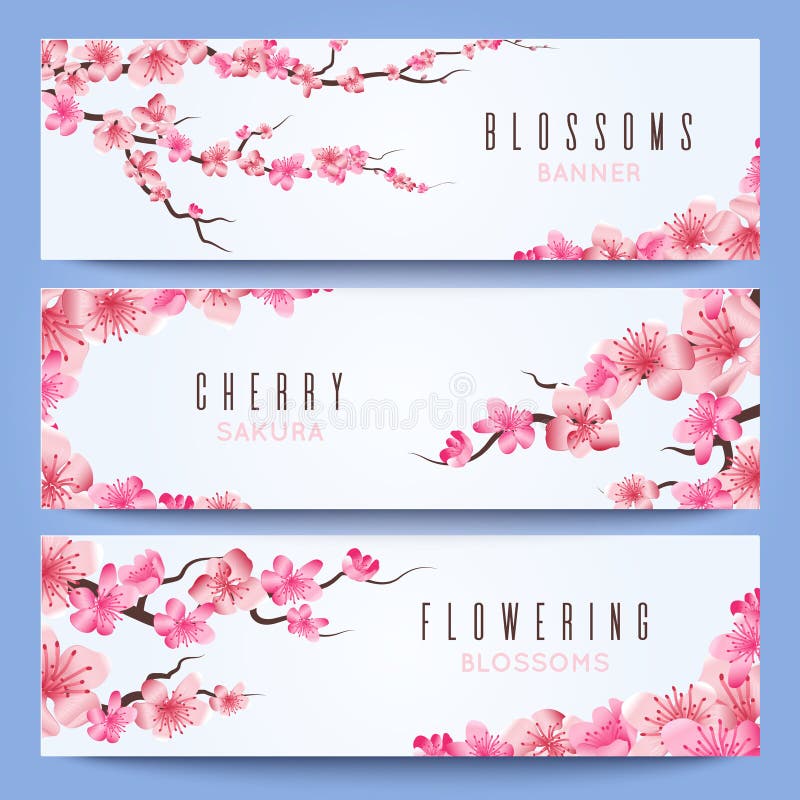 Modello delle insegne di nozze con la molla Giappone sakura, fiore di ciliegia