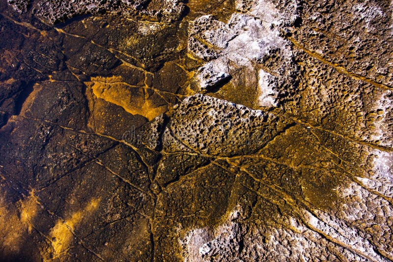 Modello di pietra con muschio fotografie stock