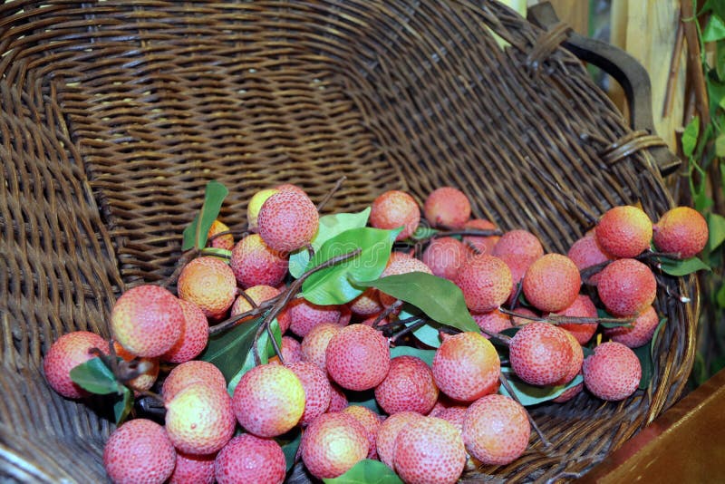 Modello di plastica del litchi nel canestro marrone nero del rattan fotografia stock libera da diritti