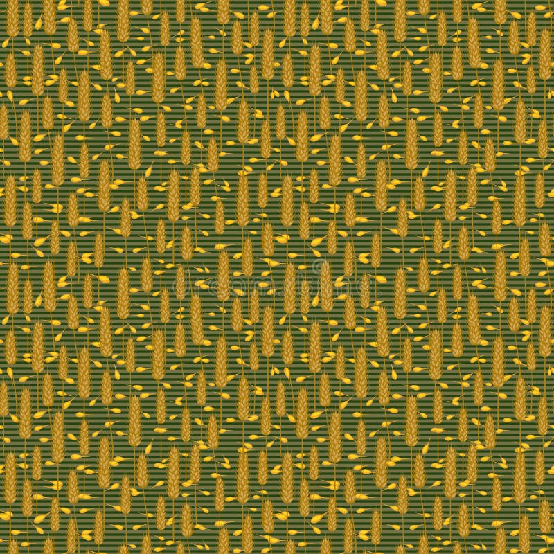 Modello di steli di frumento giallo senza saldatura illustrazione vettoriale