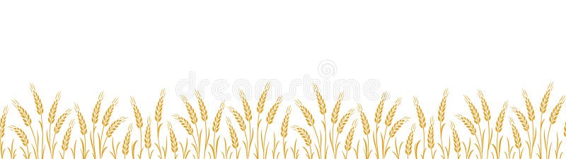 Modello di steli di frumento a striscia senza saldatura illustrazione vettoriale