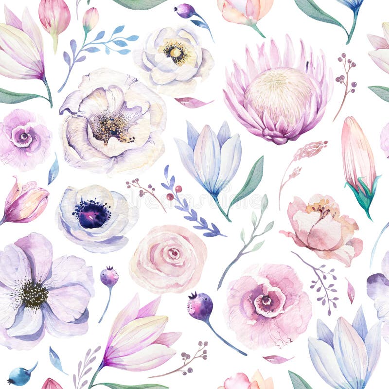 Modello floreale dell'acquerello lilic senza cuciture della molla su un fondo bianco Fiori rosa e rosa, decorazione del weddind