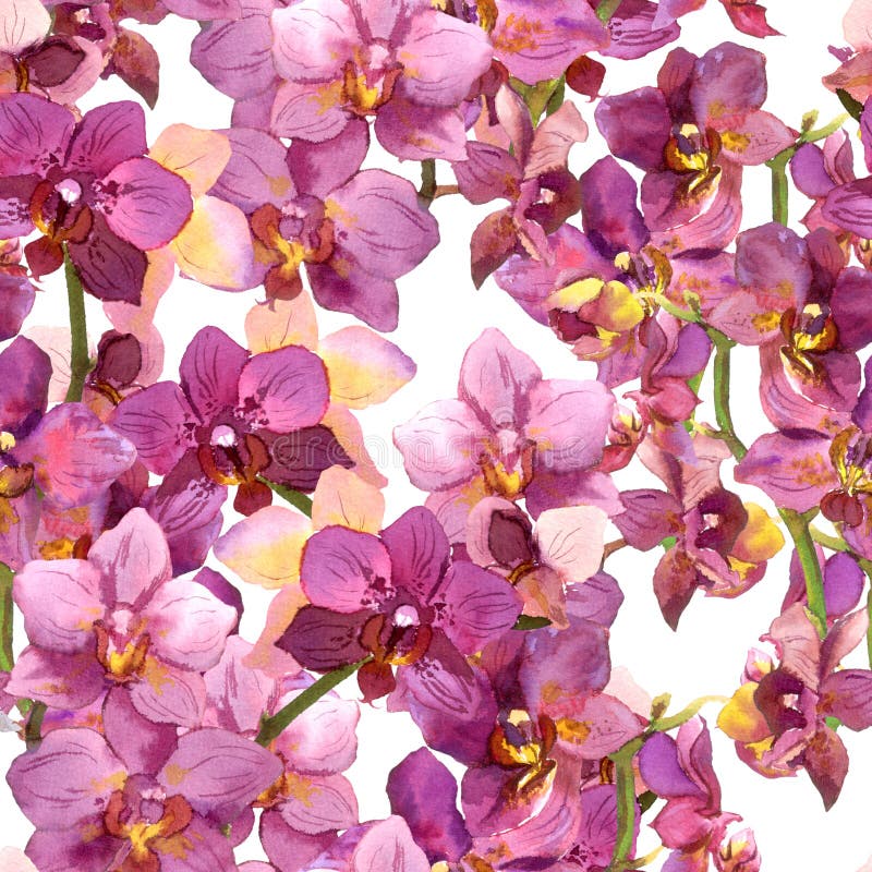 Modello floreale esotico - fiori vibranti dell'orchidea Fondo senza cuciture watercolour illustrazione vettoriale Modello floreale esotico - fiori vibranti dell'orchidea Fondo senza cuciture watercolour illustrazione vettoriale