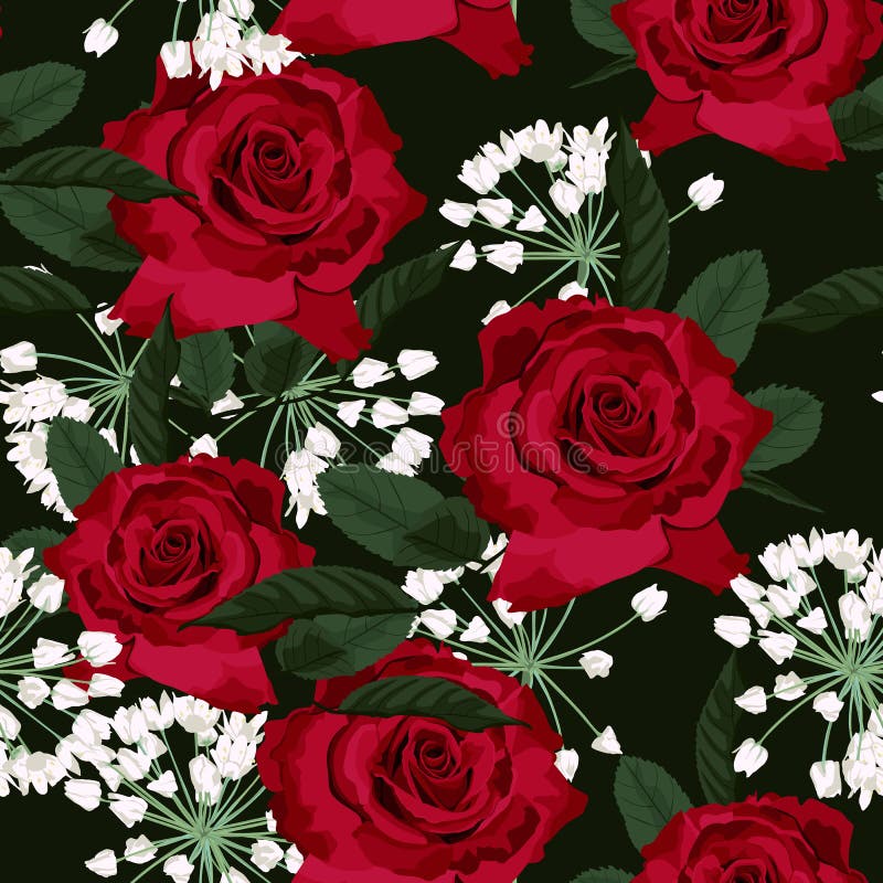 Modello floreale senza cuciture con le rose rosse e le erbe di bianco su fondo nero illustrazione di stock Modello floreale senza cuciture con le rose rosse e le erbe di bianco su fondo nero illustrazione di stock