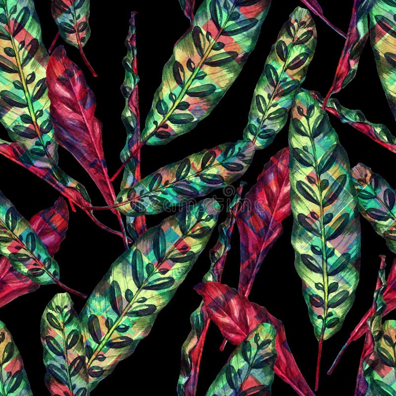 Modello floreale tropicale fatto a mano senza cuciture illustrazione di stock Modello floreale tropicale fatto a mano senza cuciture illustrazione di stock