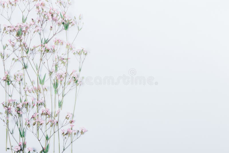 Modello laterale festivo floreale del confine con lo spazio della copia immagine stock libera da diritti Modello laterale festivo floreale del confine con lo spazio della copia immagine stock libera da diritti