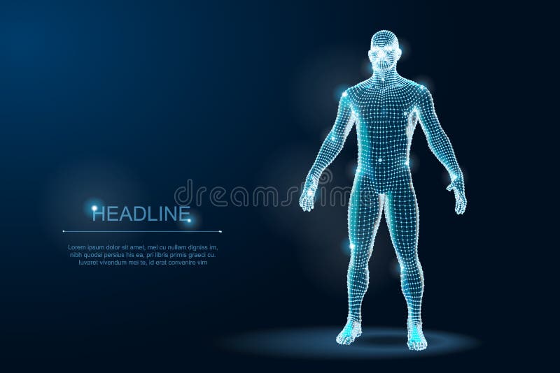 Modello poligonale del corpo umano 3D Wireframe Illustrazione di vettore royalty illustrazione gratis